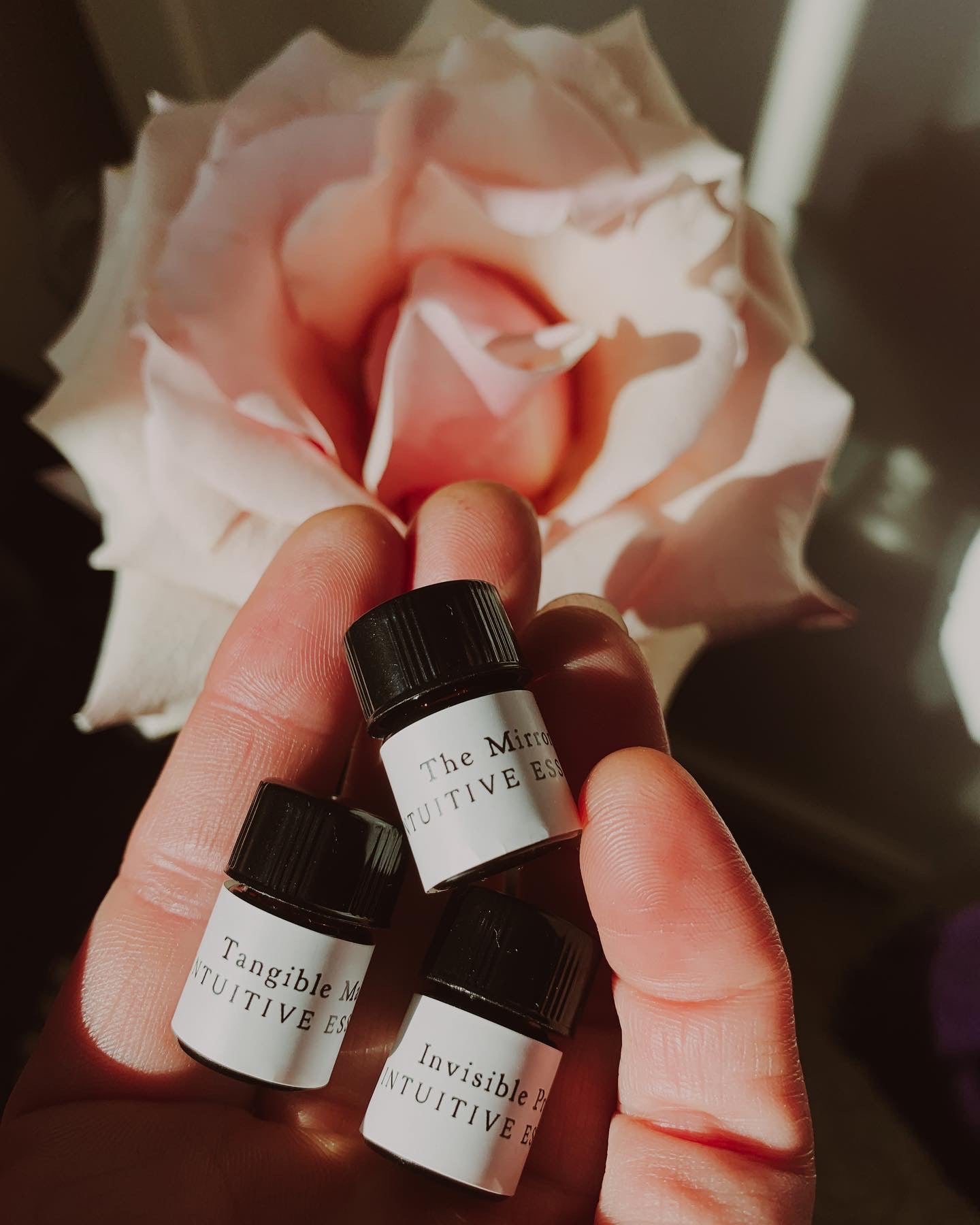 The Trinity Collection Sample Set