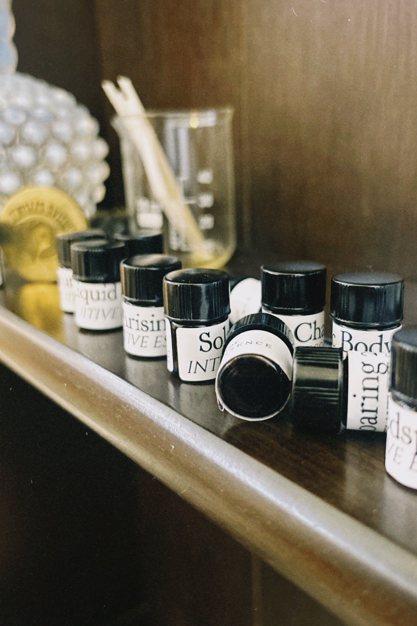 Zodiac Sample Set (All 12)