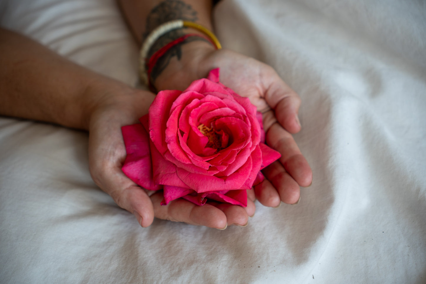 Rose Water Hydrosol