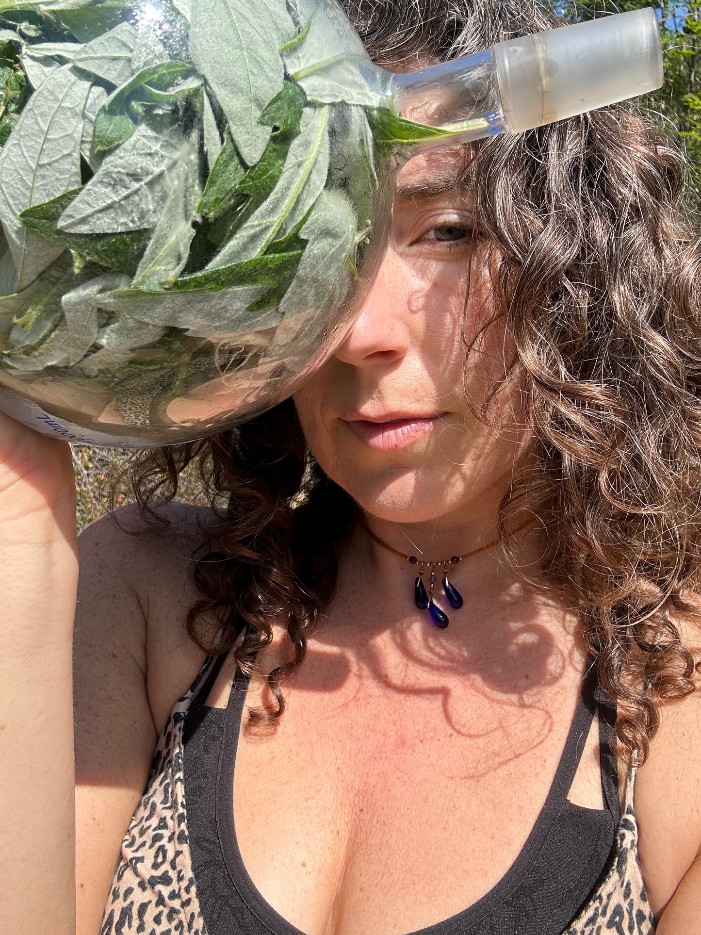 Dream Potion ~ Mugwort Hydrosol