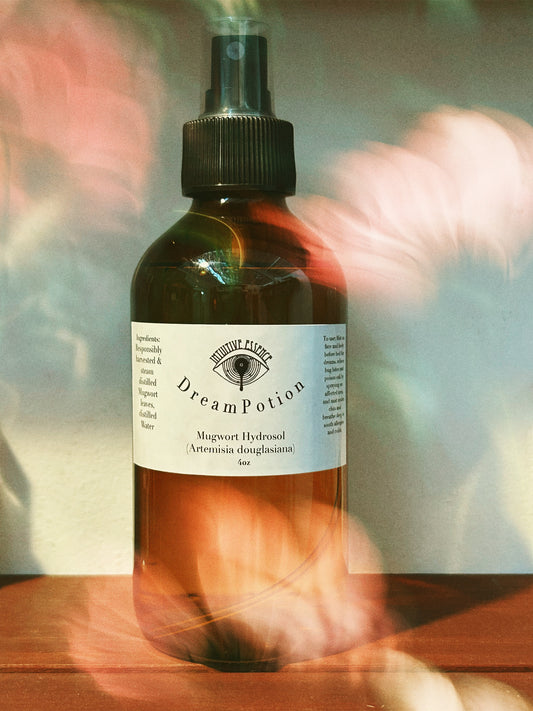 Dream Potion ~ Mugwort Hydrosol