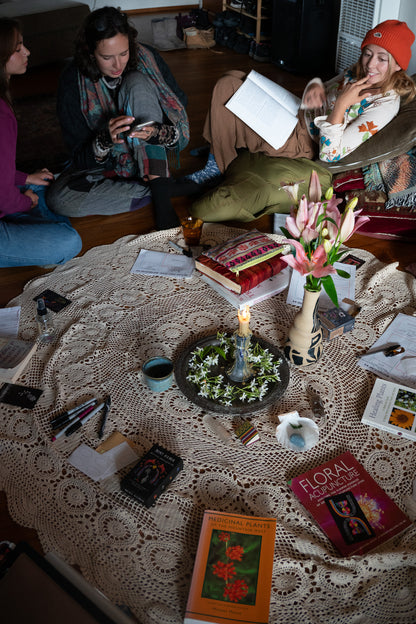 Plant Spirit Spiral Day Retreat
