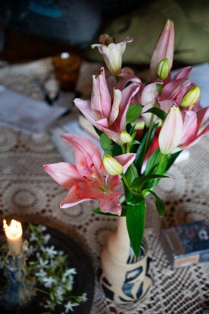 Plant Spirit Spiral Day Retreat