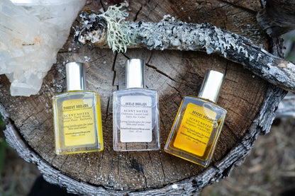 California Dreams Collection