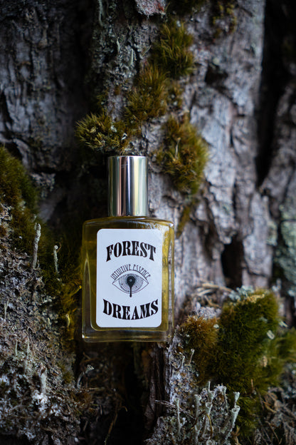 Forest Dreams