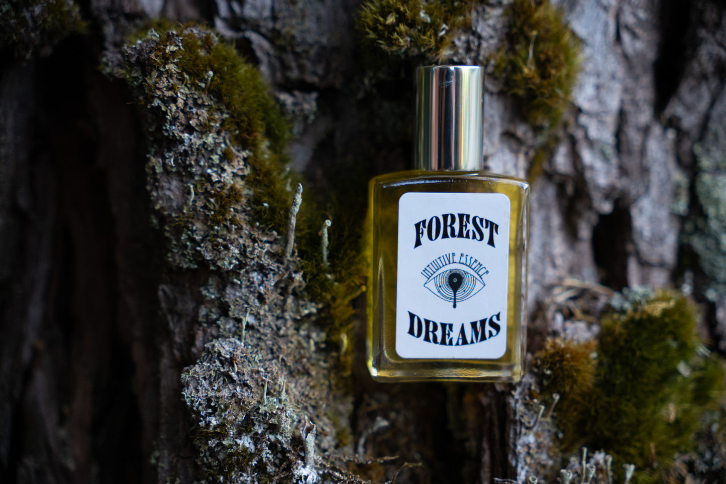 Forest Dreams
