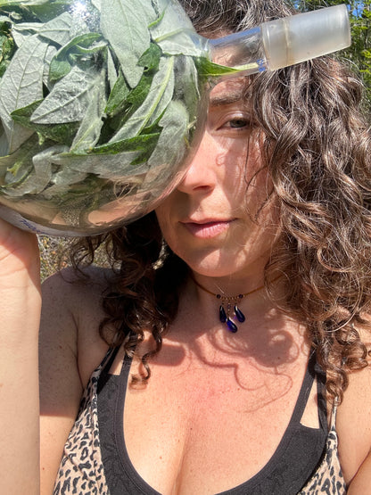 Dream Potion ~ Mugwort Hydrosol