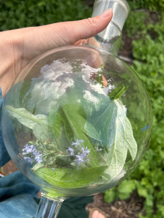 Dream Potion ~ Mugwort Hydrosol