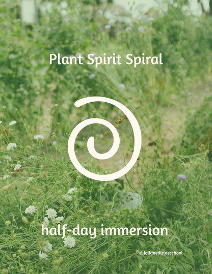 Plant Spirit Spiral Day Retreat