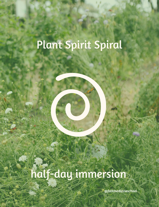 Plant Spirit Spiral Day Retreat